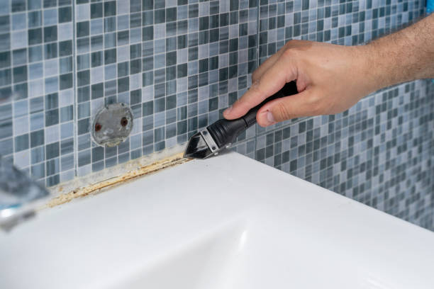 Best Insurance-Related Mold Remediation in Neodesha, KS